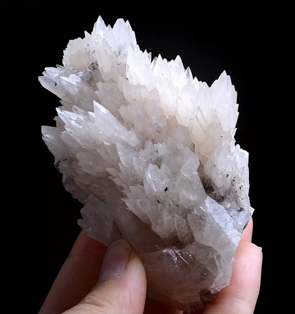 209g Natural  “Angel Wings” White Calcite Crystal Mineral Specimen/China