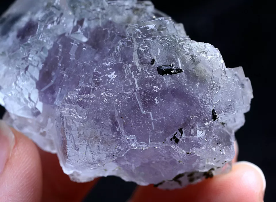 69.5g Natural Purple Fluorite & Wolframite Mineral Specimen/Yaogangxian  China