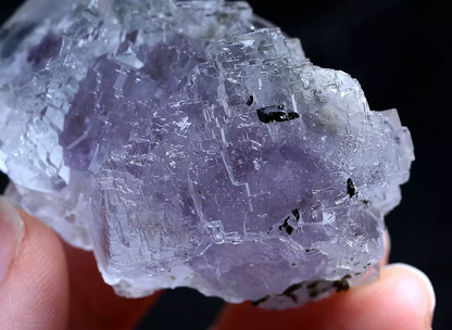 69.5g Natural Purple Fluorite & Wolframite Mineral Specimen/Yaogangxian  China