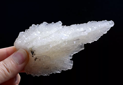 110gNatural Complete “Angel Wings” White Calcite Crystal Mineral Specimen/China