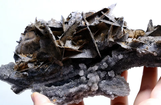 1087g New Find Rare Breed Rose Gray Calcite CLUSTER Mineral Specimen/China