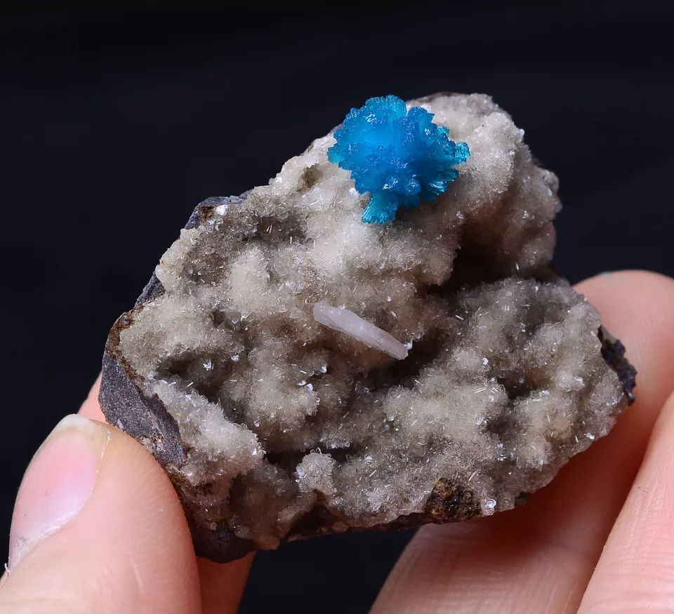 91.8CT Natural CAVANSITE & ZEOLITE Crystal Symbiotic Mineral Specimen/ India