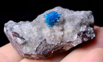 44.09g Natural CAVANSITE & ZEOLITE Crystal Symbiotic Mineral Specimen/India