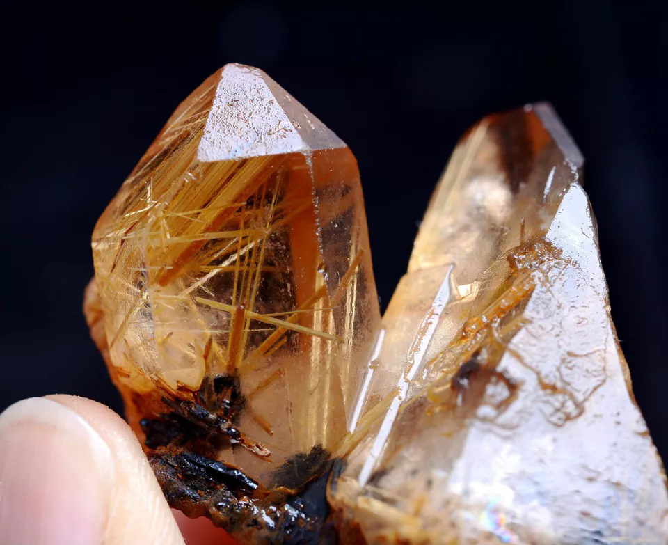 24gNatural Transparent Gold Rutilated Skeletal Quartz Crystal Mineral Specimens