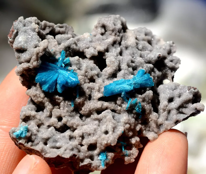 38.43g Natural CAVANSITE & ZEOLITE Crystal Symbiotic Mineral Specimen/India