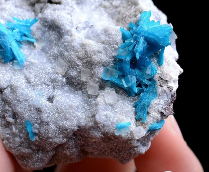 40.1g Natural CAVANSITE & ZEOLITE & Calcite Symbiotic Mineral Specimen/ India