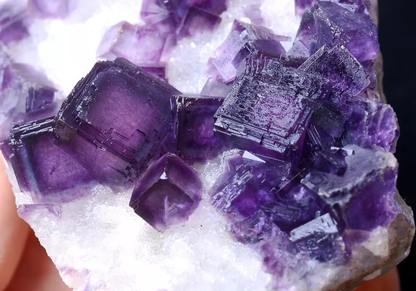 398g NEWLY DISCOVERED RARE PURPLE FLUORITE CRYSTAL CLUSTER MINERAL SAMPLES