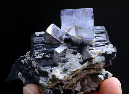 99gNatural Purple Fluorite Wolframite Arsenopyrite Mineral Specimen/Yaogangxian