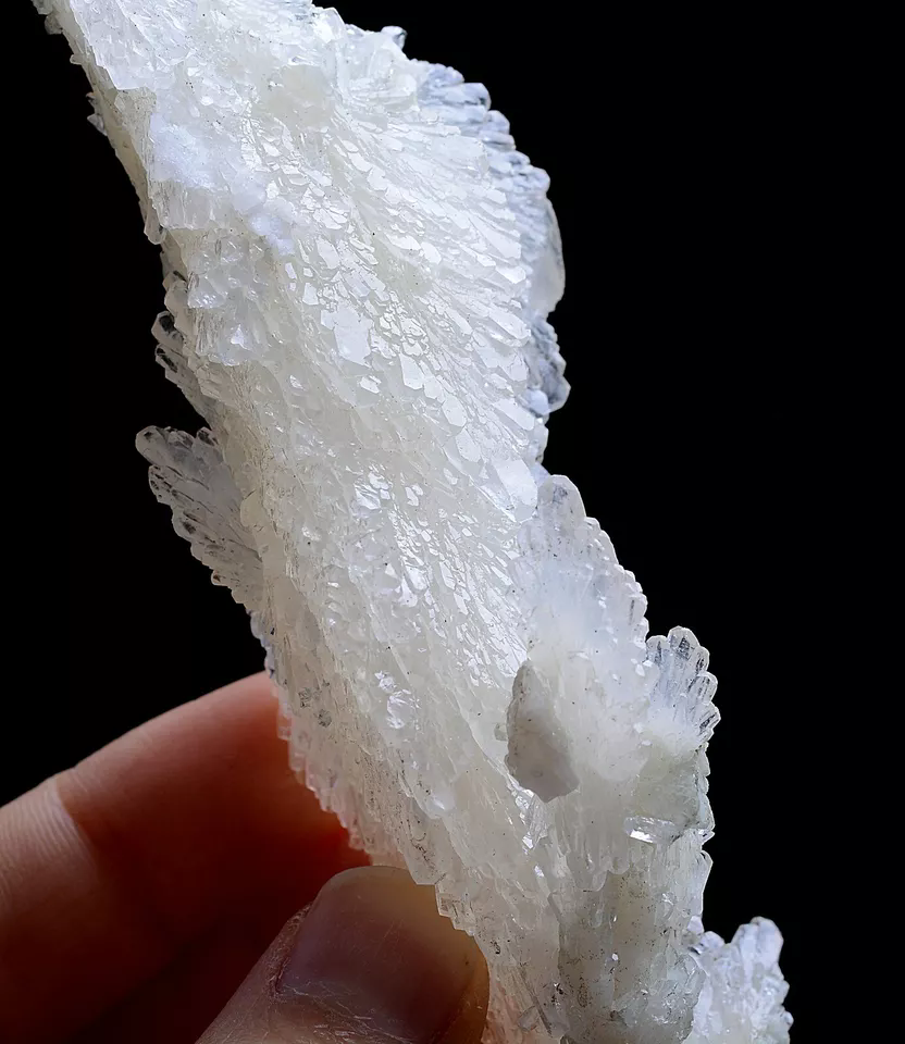 88g Natural Beautiful “Angel Wings” White Calcite Mineral Specimen/China