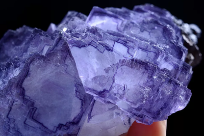 281g Natural Phantom Window Purple Fluorite & Arsenopyrite Mineral Specimen