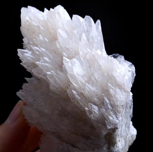 257g Natural Complete “Angel Wings” White Calcite Mineral Specimen/China