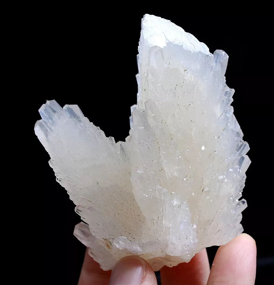 125.0g Natural  Beautiful “Angel Wings” White Calcite Mineral Specimen/China