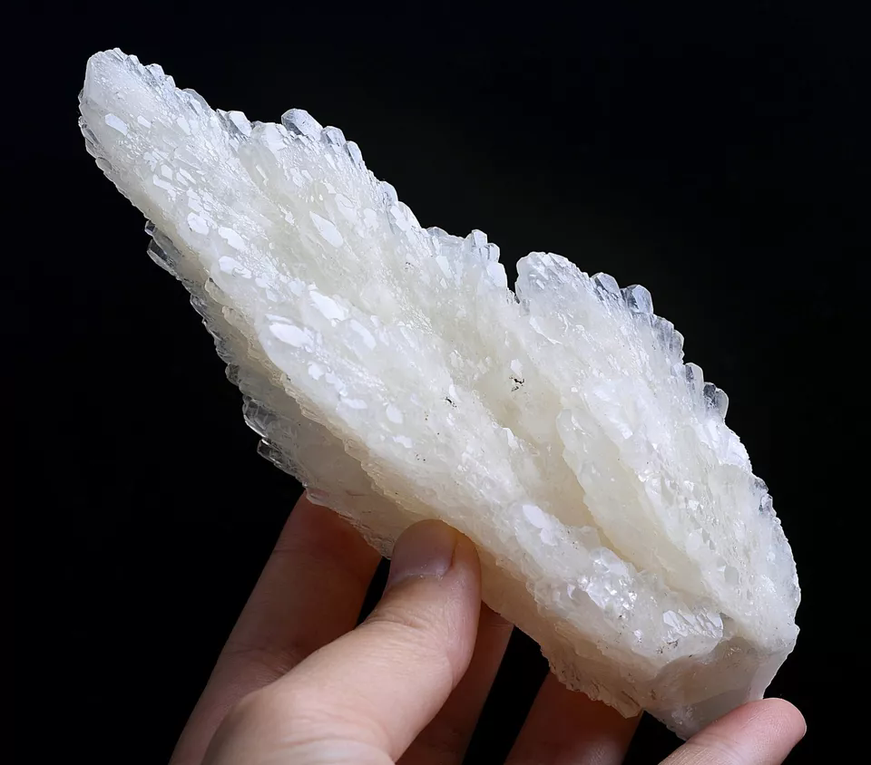 284g Natural Complete “Angel Wings” White Calcite Mineral Specimen/China