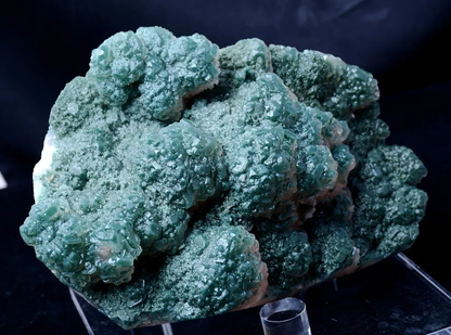 1821g Newly Discovered Green Apophyllite CRYSTAL CLUSTER Mineral Specimen