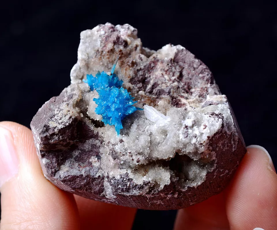 42.5g Natural CAVANSITE & ZEOLITE Crystal Symbiotic Mineral Specimen/India