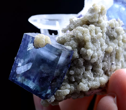 202g Natural Blue and White Porcelain Fluorite Mineral Specimen/YaoGang  Xian