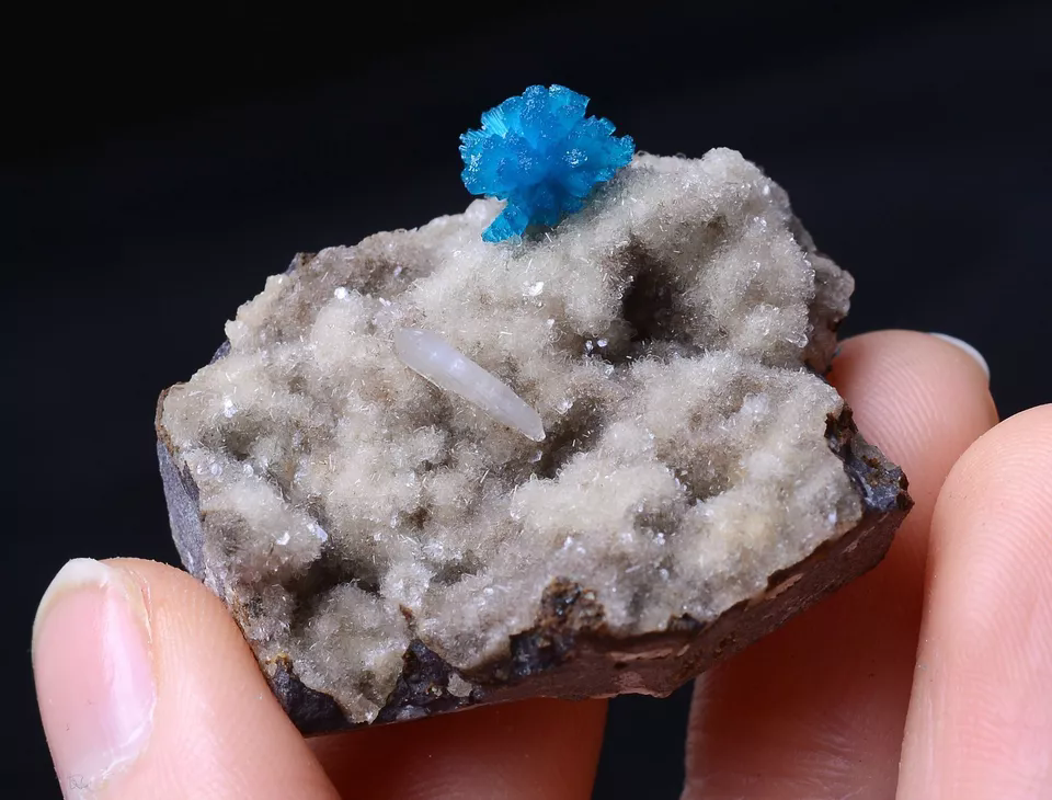 91.8CT Natural CAVANSITE & ZEOLITE Crystal Symbiotic Mineral Specimen/ India