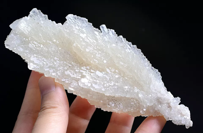 241.g  Natural Fluorescent “Angel Wings” White Calcite Crystal Mineral Specimen