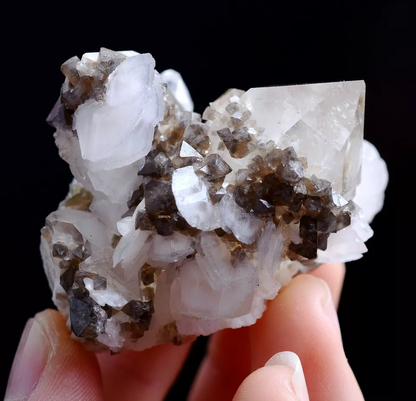 65g Natural Rare Scheelite & Crystal Calcite Mineral Specimen/Yaogangxian China