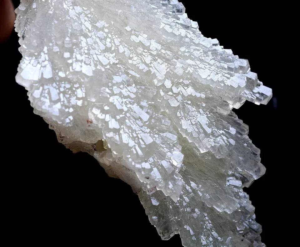 108g Natural Complete “Angel Wings” White Calcite Mineral Specimen/China