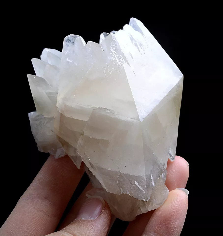 212.0g Natural Complete White Calcite “Angel Wings” Crystal Mineral Specimen