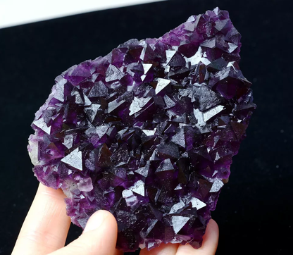 219.19g MUSEUM COLLECTION NEWLY DISCOVERED RARE PURPLE FLUORITE MINERAL SAMPLES