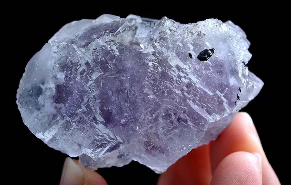 69.5g Natural Purple Fluorite & Wolframite Mineral Specimen/Yaogangxian  China
