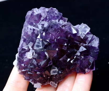 211.68g MUSEUM COLLECTION NEWLY DISCOVERED RARE PURPLE FLUORITE MINERAL SAMPLES