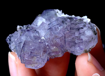 Yao Gang Xian RARE PURPLE FLUORITE CRYSTAL CLUSTER MINERAL SAMPLES  23.38g