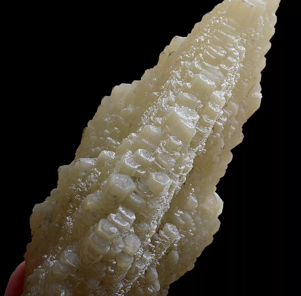 247g Natural Complete “Angel Wings” Yellow Calcite Mineral Specimen/ China