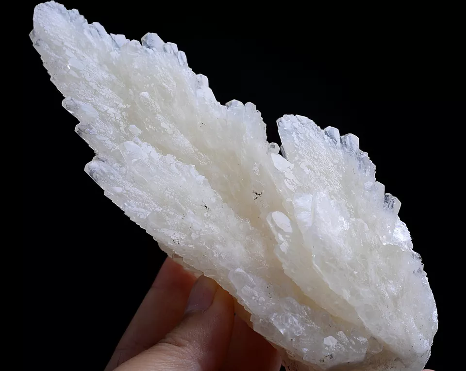 284g Natural Complete “Angel Wings” White Calcite Mineral Specimen/China