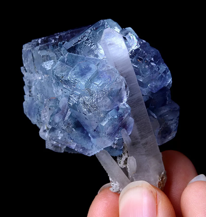 75.43g RARE! NATURAL PURPLE CUBIC FLUORITE &CRYSTAL SYMBIOTIC MINERAL SPECIMEN