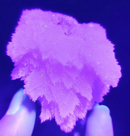 84.5g Natural Complete “Angel Wings” Fluorescent Pink Calcite Mineral  Specimen