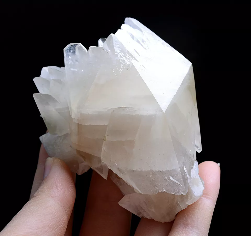 212.0g Natural Complete White Calcite “Angel Wings” Crystal Mineral Specimen