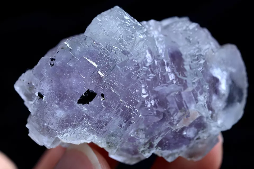 69.5g Natural Purple Fluorite & Wolframite Mineral Specimen/Yaogangxian  China