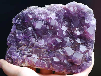 813g Natural Phantom Window Purple Fluorite CRYSTAL CLUSTER Mineral Specimen