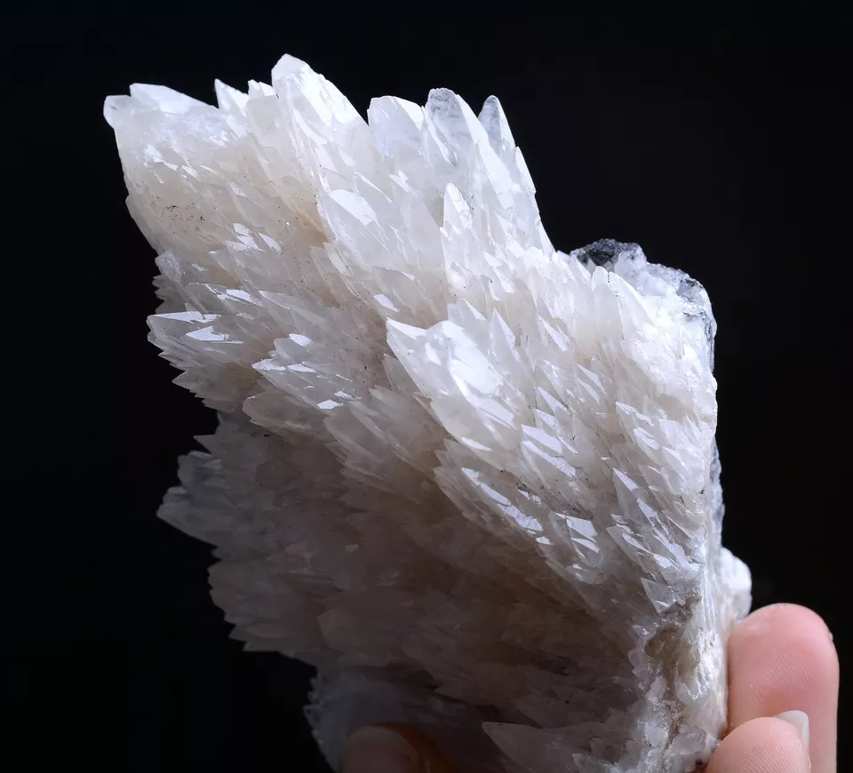 257g Natural Complete “Angel Wings” White Calcite Mineral Specimen/China