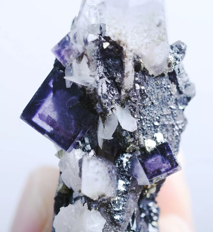 30g Natural Purple Fluorite & Wolframite Crystal Mineral Specimen/YaoGangXian