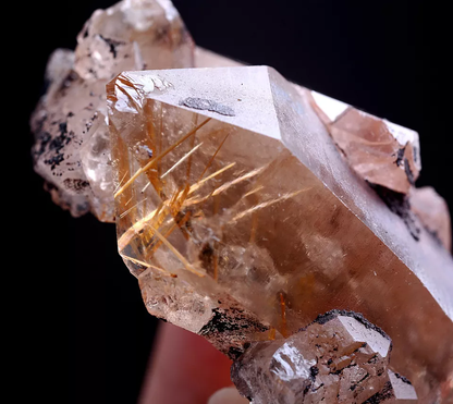 55g Natural Clear Gold Rutilated Skeletal Quartz Crystal Mineral Specimens