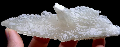 104.6g Natural Complete White Calcite “Angel Wings” Crystal Mineral  Specimen