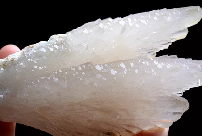 253g Natural Complete “Angel Wings” White Calcite Mineral Specimen/ China