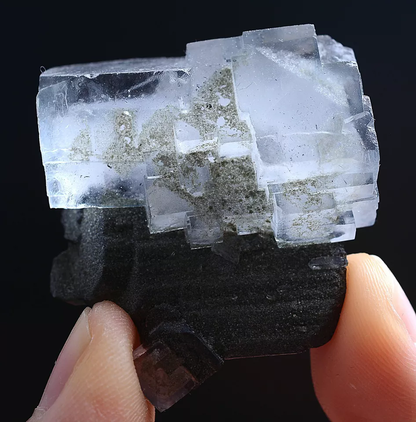 51g Natura Clear FLUORITE & Wolframite Mineral Specimen/Yaogangxian  China