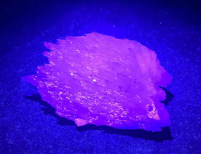 118gNatural Rare “Angel Wings” Pink Fluorescence Calcite Mineral Specimen/ China