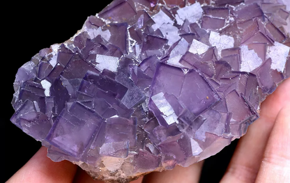 313g Natural Phantom Window Purple Fluorite CRYSTAL CLUSTER Mineral Specimen